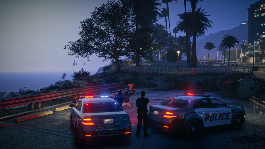 Policía en SombraRP